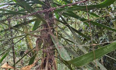 Venta  de  Terreno  ideal para Inversionistas