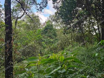 Venta  de  Terreno  ideal para Inversionistas