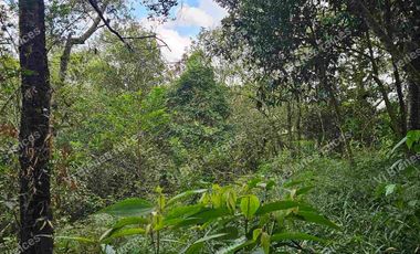 Venta  de  Terreno  ideal para Inversionistas