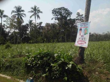 Dijual Tanah luas di Timur Pabrik Krebet Bululawang kab Malang