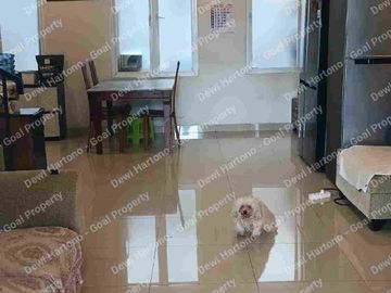 Dijual Cepat Rumah di Cluster Trimezia Gading Serpong