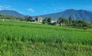 VILLA VIEW GUNUNG HARGA HITUNG TANAH SAJA.
