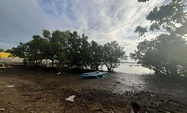 Beach Lot 4009sqm 109m water frontage Talibon Bohol