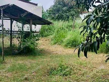 MINI FARMLOT FOR SALE Camuning Mexico, Pampanga