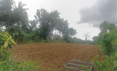 3,968 sqm Vacant Lot in Taal Batangas