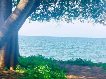 Tanah Beach Front Kubutambahan Buleleng Singaraja