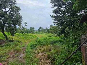 Pasuruan, lahan kuning siap bangun, nol jalan