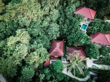 Resort Murah Tegallalang Ubud Gianyar