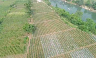 Tanah Murah di Mekarsari Ranca Bungur Bogor