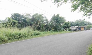 Tanah Murah di Mekarsari Ranca Bungur Bogor