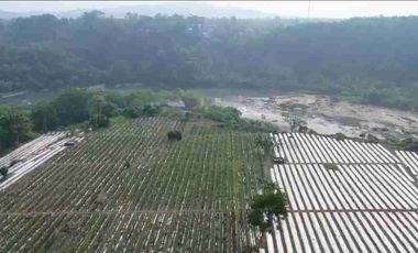 Tanah Murah di Mekarsari Ranca Bungur Bogor