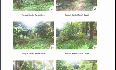 Tanah dijual Raya cicadas segalaherang Subang jawa barat