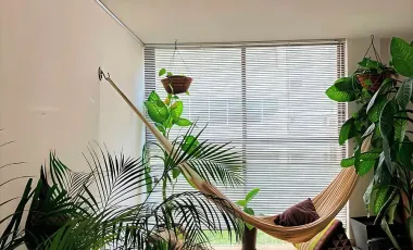 DEPARTAMENTO EN LOMAS DE CHAPULTEPEC, MIGUEL HIDALGO. REMATE ADJUDICADO
