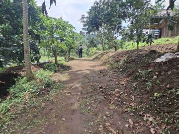 Kebun Alpukat Jeruk Durian Poncokusumo Malang