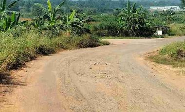 TANAH INDUSTRI DI CITEUREUP BOGOR