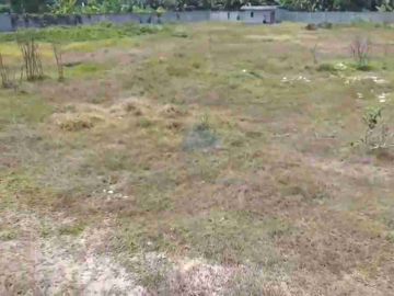 Dijual Tanah Industri Strategis Di Kawasan Modern Cikande Estate, Sudah Full Pagar Dan Pintu Gerbang!