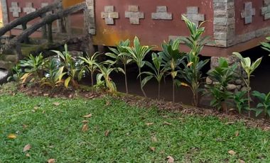 Wajib Dimiliki! RUMAH GUESTHOUSE DENGAN SUASANA DESA DI CIOMAS BOGOR