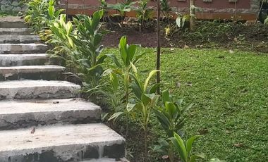 Wajib Dimiliki! RUMAH GUESTHOUSE DENGAN SUASANA DESA DI CIOMAS BOGOR