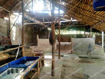 DIJUAL CEPAT TANAH EX KANDANG SAPI DI JLN. SOAK SIMPUR LRG. BAHAGIA PALEMBANG