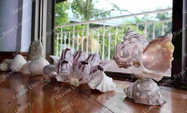Tali Beach Nasugbu Batangas overlooking house and lot