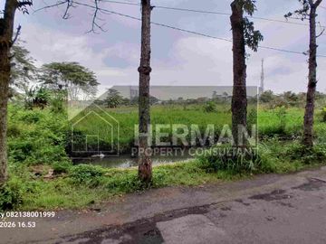 Tanah Tembalang Mulawarman Undip