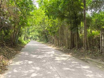 FARM LOT FOR SALE in
Brgy. Aya, Talisay, Batangas