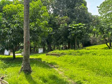 FARM LOT FOR SALE in
Brgy. Aya, Talisay, Batangas