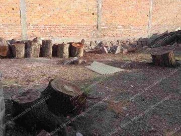 TERRENO EN VENTA AV DAMIAN CARMONA