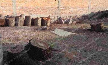 TERRENO EN VENTA AV DAMIAN CARMONA