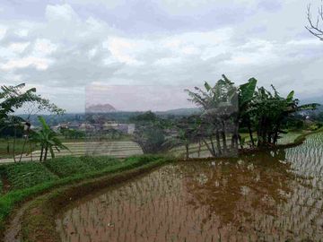 DI JUAL  !
Tanah Murah di Arca Domas,Megamendung,
View Gunung Pangrango dan Gunung Salak,Udara Alami sejuk
Bonus 2 Rumah,  1 Villa