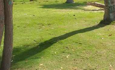 Beach Lot with Structures 600sqm 15m shore Pangangan Island Bohol