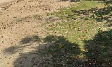 Beach Lot with Structures 600sqm 15m shore Pangangan Island Bohol