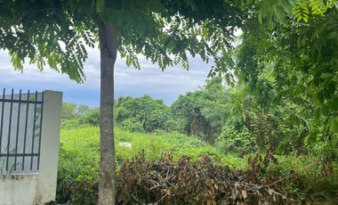 49-C1 Cavite Technopark, Sabang, Naic, Cavite, Philippines