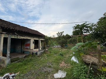 Gudang dan Kandang Ayam Strategis di Kawasan Srumbung, Magelang dekat dengan Jalan Raya Magelang-Yogya