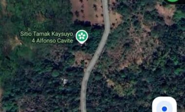 107 Hectare Lot in Brgy. Kaysuyo, Alfonso Cavite for SALE! CLEAN TITLE at 1k per sqm net