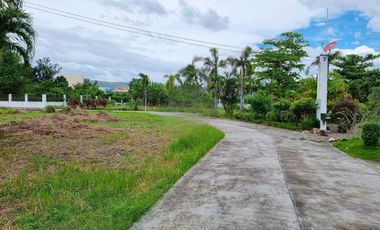 Bungalow for Sale in Talisay City, Cebu | 5BR Fully Furnished Estate Near SRP