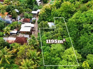 Tanah Dijual – Harga Terbaik di Lovina, Bali