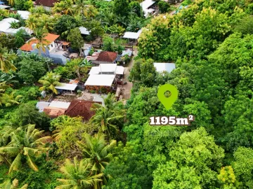 Tanah Dijual – Harga Terbaik di Lovina, Bali