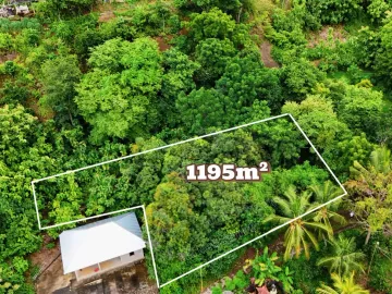 Tanah Dijual – Harga Terbaik di Lovina, Bali