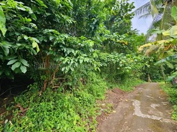 Tanah Dijual – Harga Terbaik di Lovina, Bali