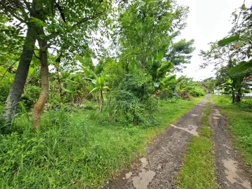 Tanah Strategis Dijual di Pusat Lovina, Bali Utara