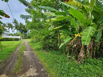 Tanah Strategis Dijual di Pusat Lovina, Bali Utara
