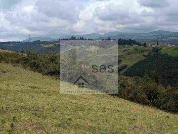 LOTES EN VENTA TUTUPALI CHICO -   10000M2