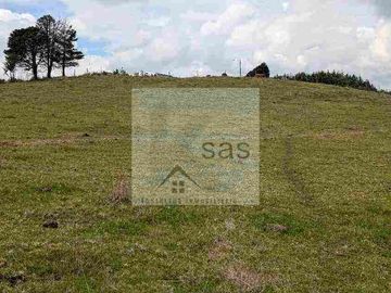LOTES EN VENTA TUTUPALI CHICO -   10000M2