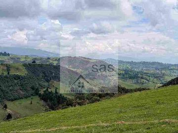 LOTES EN VENTA TUTUPALI CHICO -   10000M2