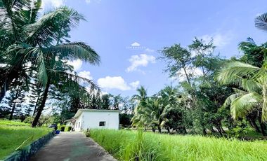 House for Sale in Calamba Laguna 3 Bedroom 3BR
