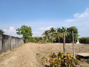 Land for Sale Near Chiang Mai City – Saraphi Starting 8,000 THB/Sq.wah