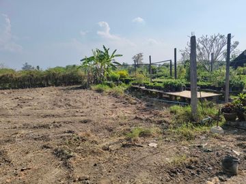Land for Sale Near Chiang Mai City – Saraphi Starting 8,000 THB/Sq.wah