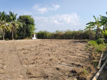 Land for Sale Near Chiang Mai City – Saraphi Starting 8,000 THB/Sq.wah