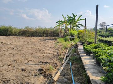 Land for Sale Near Chiang Mai City – Saraphi Starting 8,000 THB/Sq.wah